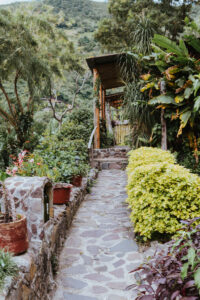 Lush gardens surrounding path at Hotel Arca De Noe