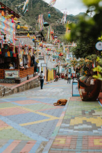 Colorful street with dog