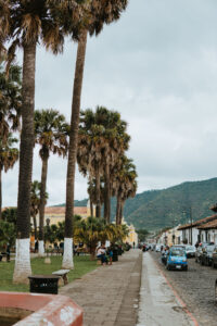 Streetview of square and palm trees in Antigua, Guatemala