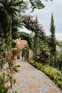 garden oasis at Hotel Casa Del Mundo, surrounded by lush vegetation