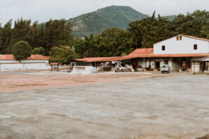 Coffee Tour Guatemala Photography