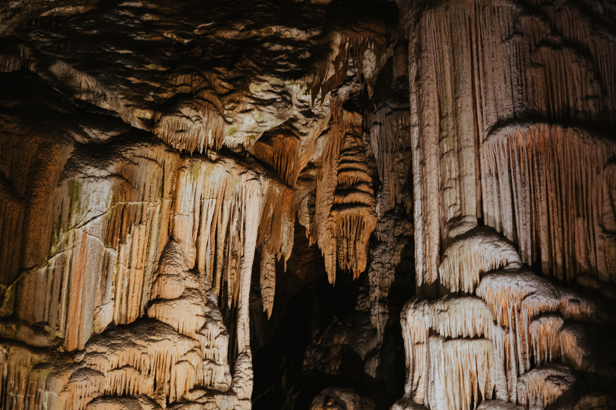 Day Trip from Ljubljana - Postojna Cave