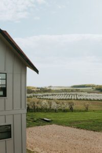 Bonobo Winery Cherry Blossom View Old Mission Peninsula