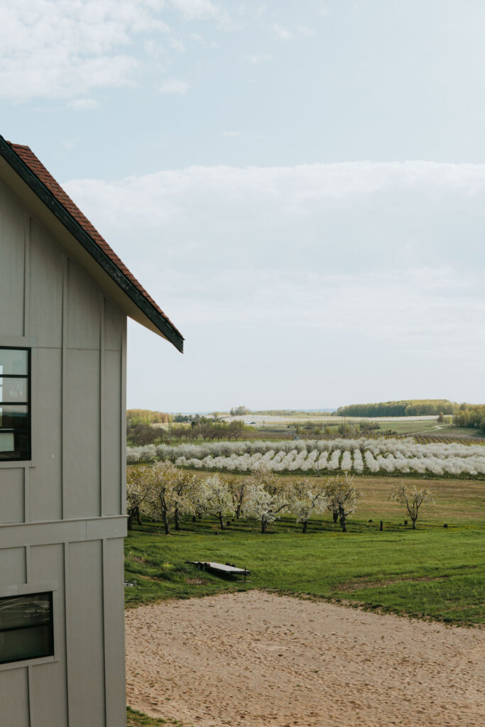 Bonobo Winery Cherry Blossom View Old Mission Peninsula