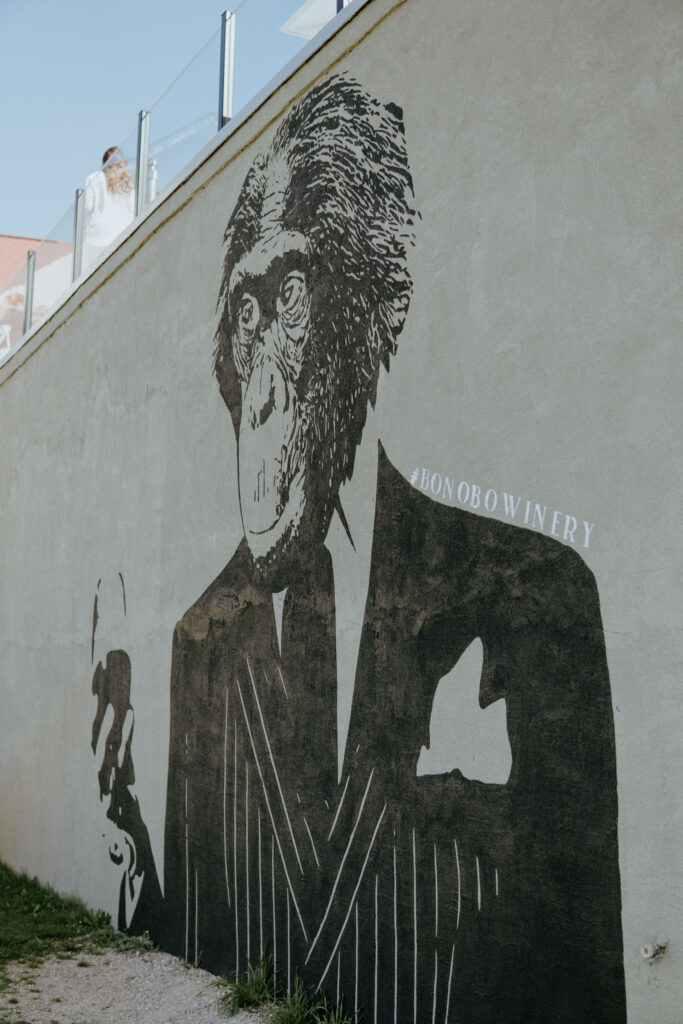 Bonobo Winery Monkey Mural and Photo Spot