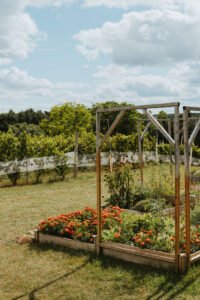 Mari Vineyards Garden