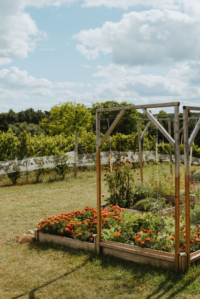 Mari Vineyards Garden