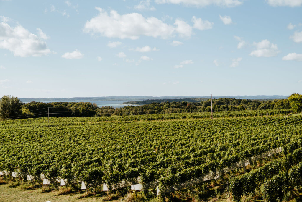 Old Mission Peninsula Traverse City Winery Stays