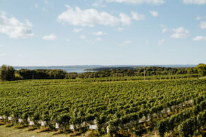 Old Mission Peninsula Traverse City Winery Bonobo View