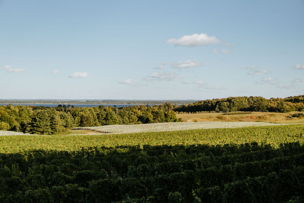 Brys Estate Winery Views