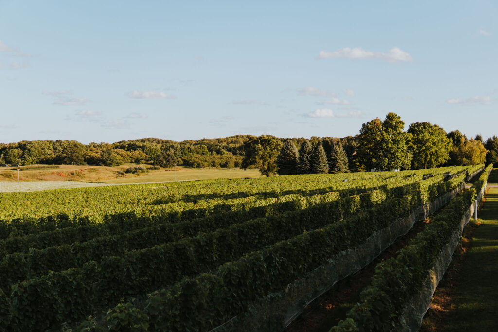 Winery Stays Traverse City Brys Estate
