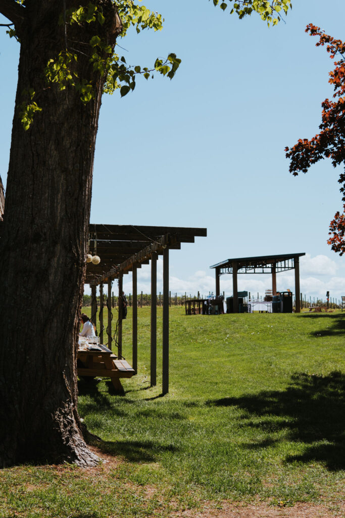 Countryside at Shady Lane Cellars