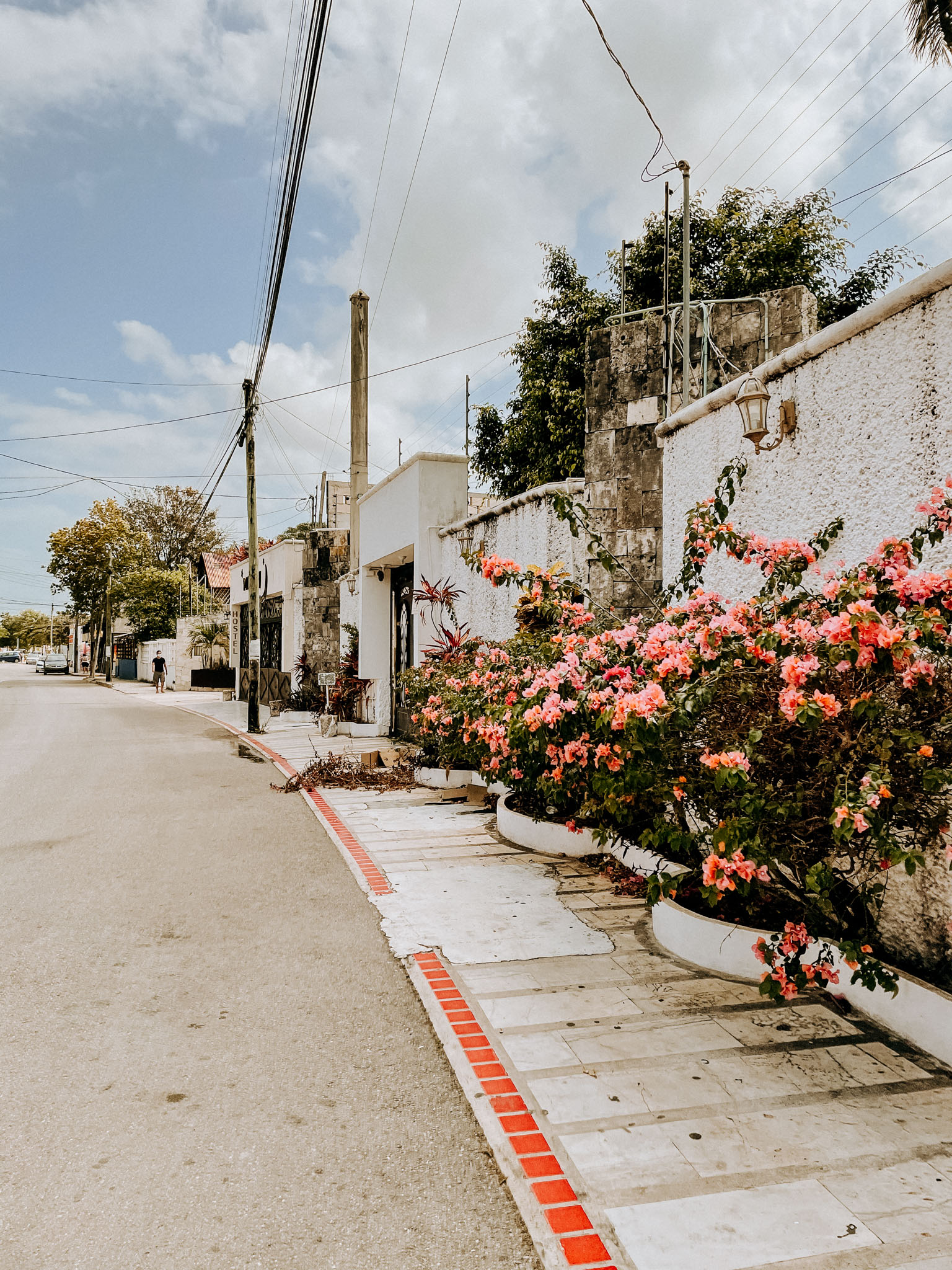 Isla Mujeres Street Street view of Isla Mujeres with flowers - golf cart rentals on Isla mujeres