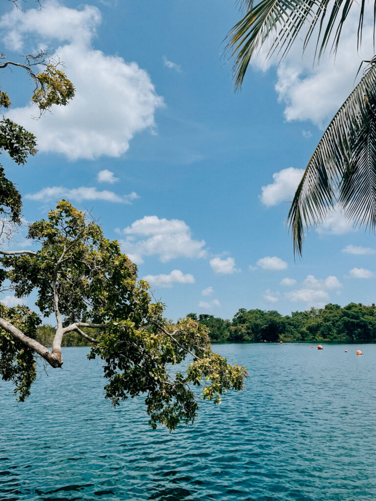 Bacalar Cenote Azul with trees in foreground