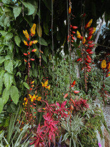 garden La Casa Del Mundo, Lake Atitlan, Guatemala