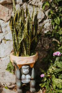 Garden La Casa Del Mundo Review, Lake Atitlan, Guatemala