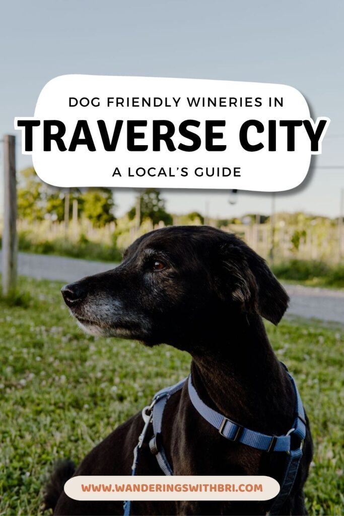 DogFriendlyWinery