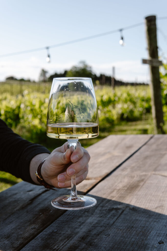 Dog Friendly Winery Traverse City