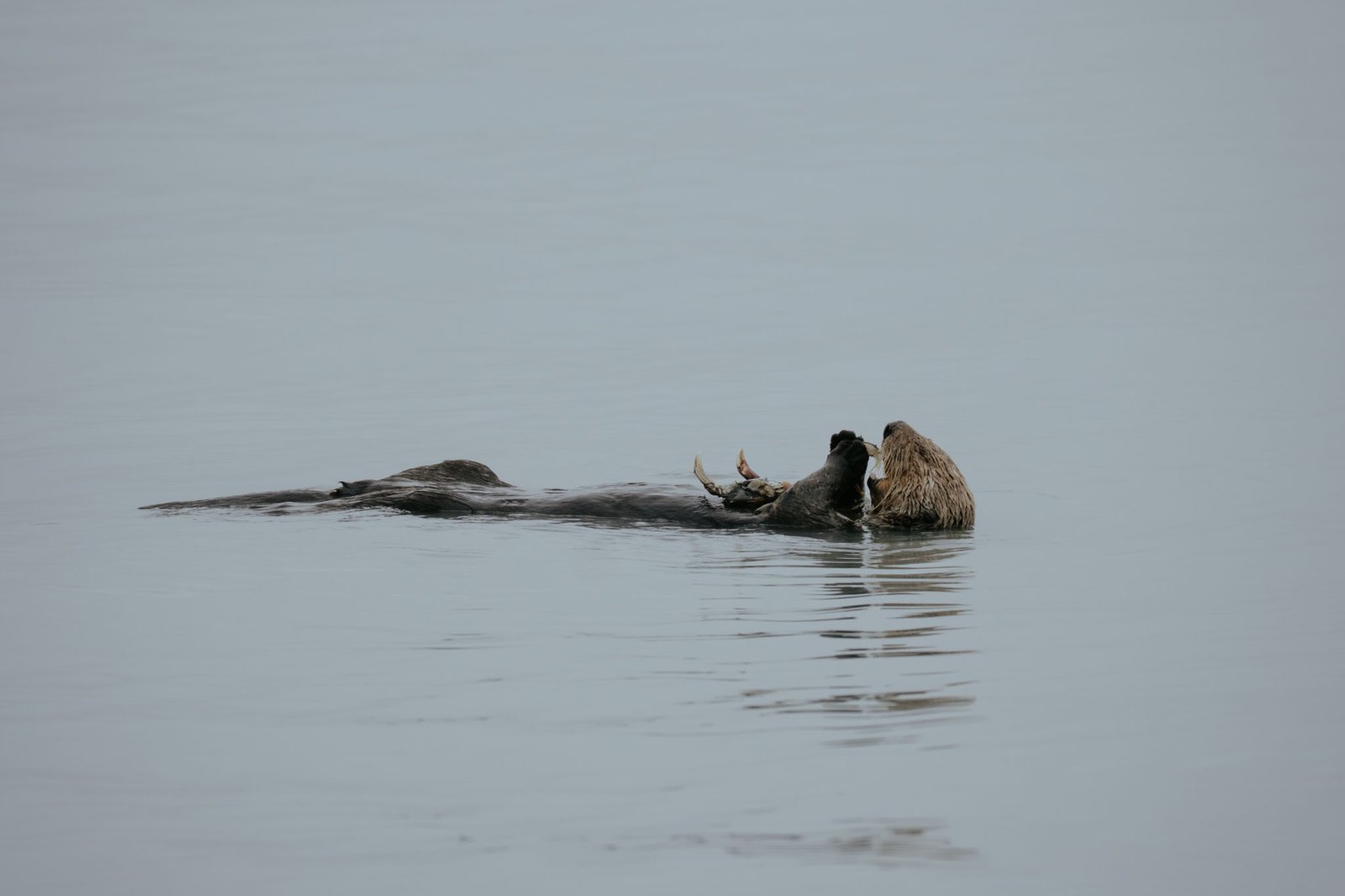 alaska-web-27