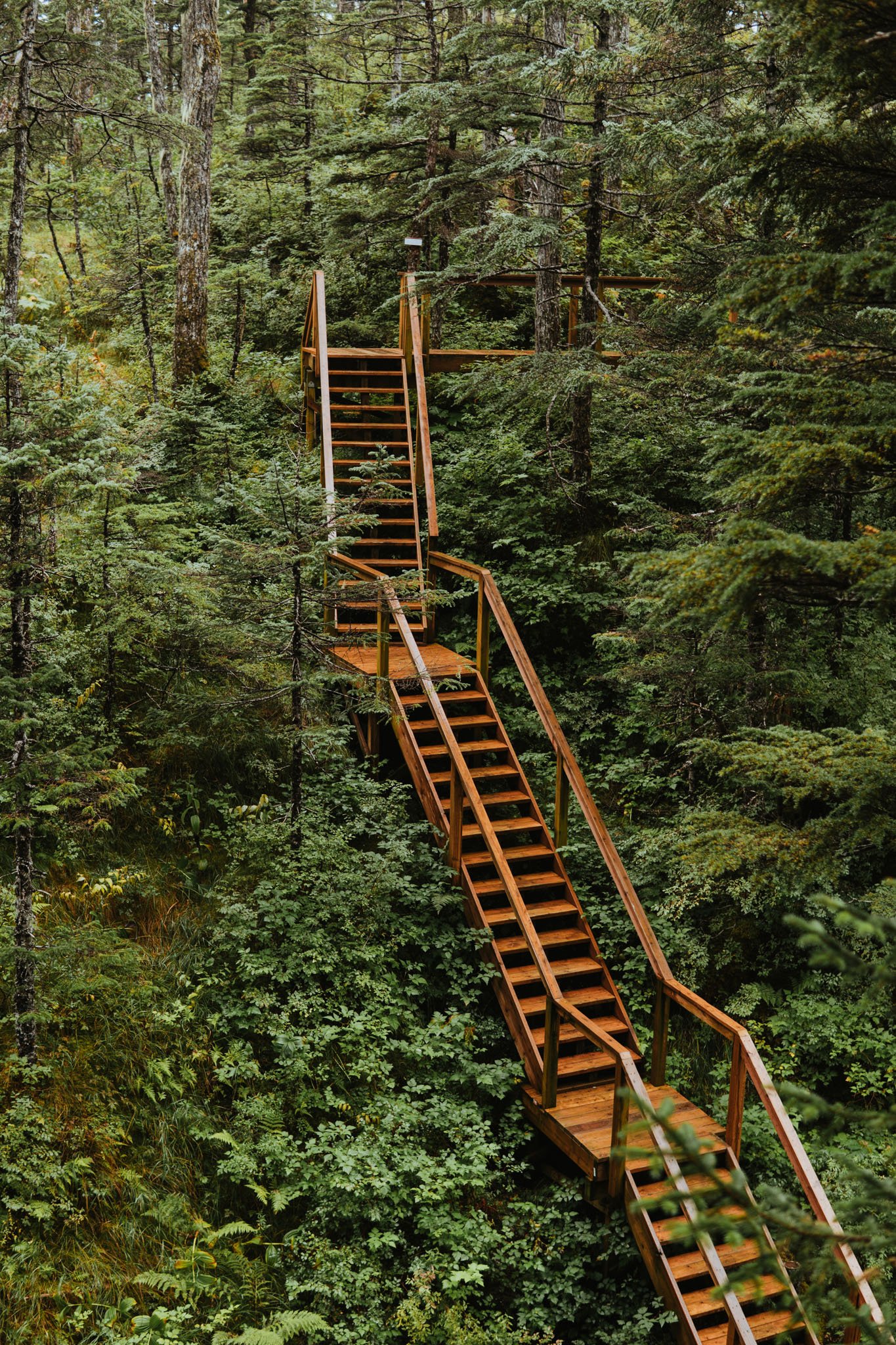 Shearwater Cove Alaska