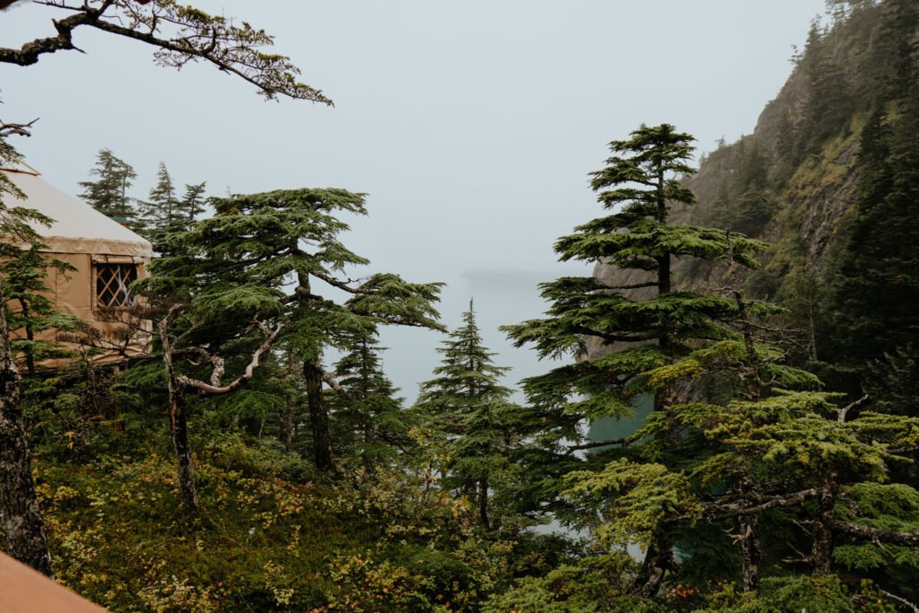 Shearwater Cove Alaska