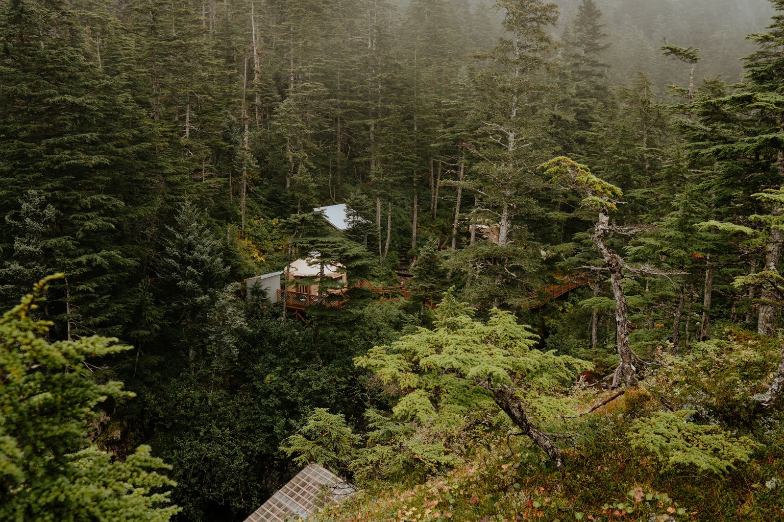 Shearwater Cove Alaska