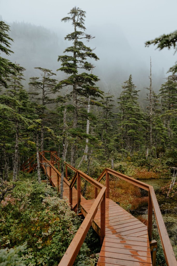 Shearwater Cove Alaska