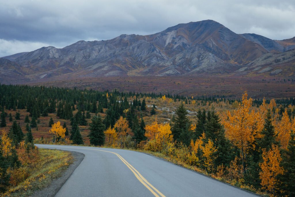 Denali National Park 2 Week Alaska Itinerary