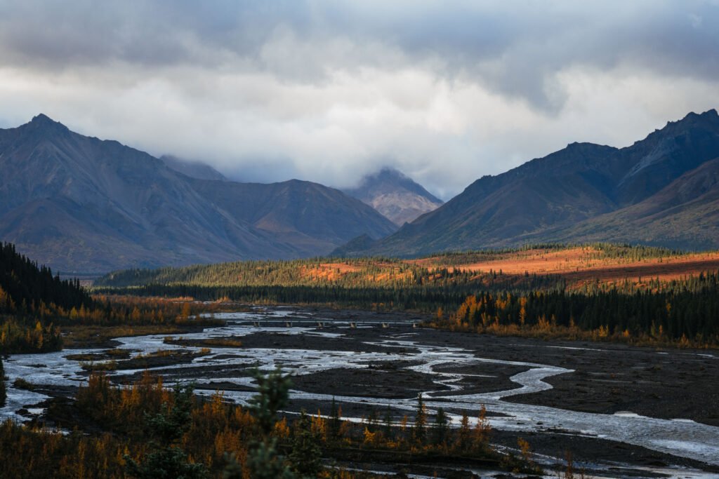 Alaska Trip Cost Denali National Park