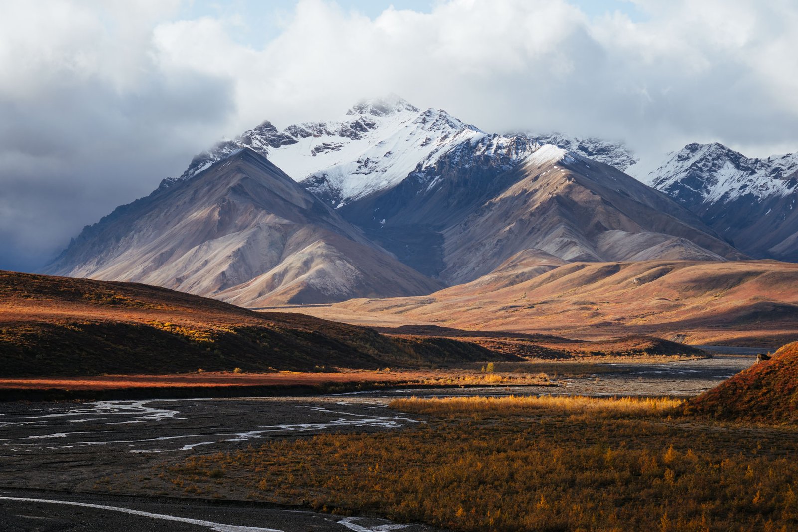 Denali National Park 2 Week Alaska Itinerary