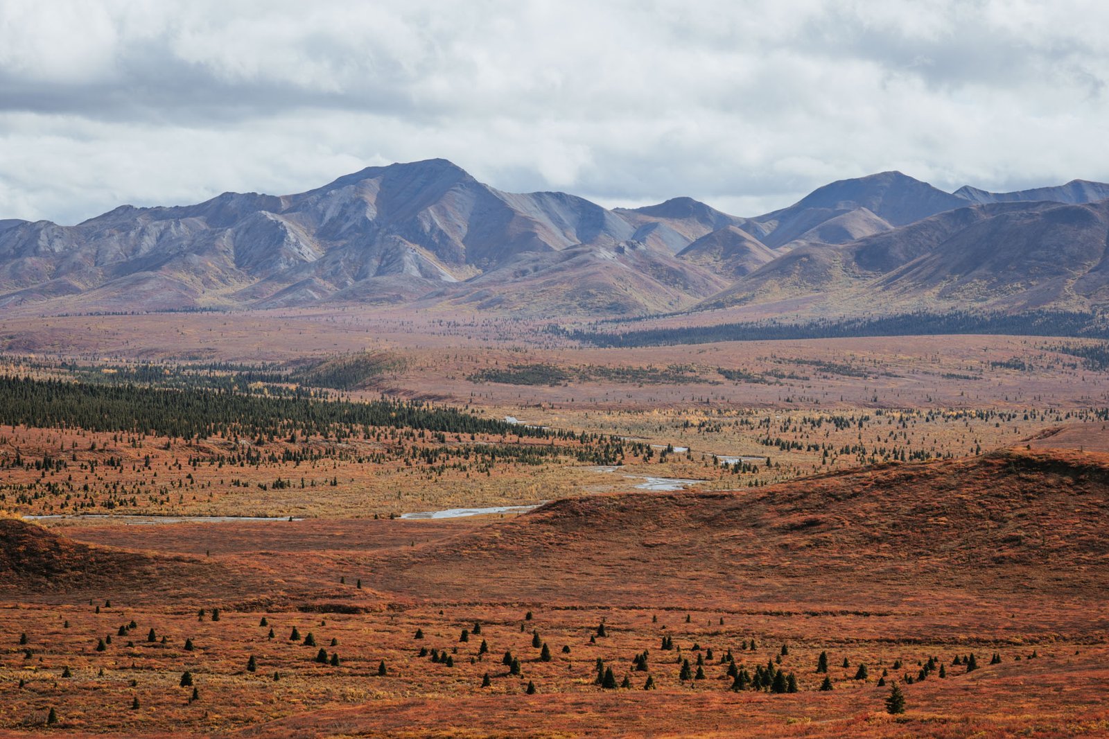 Denali National Park 2 Week Alaska Itinerary