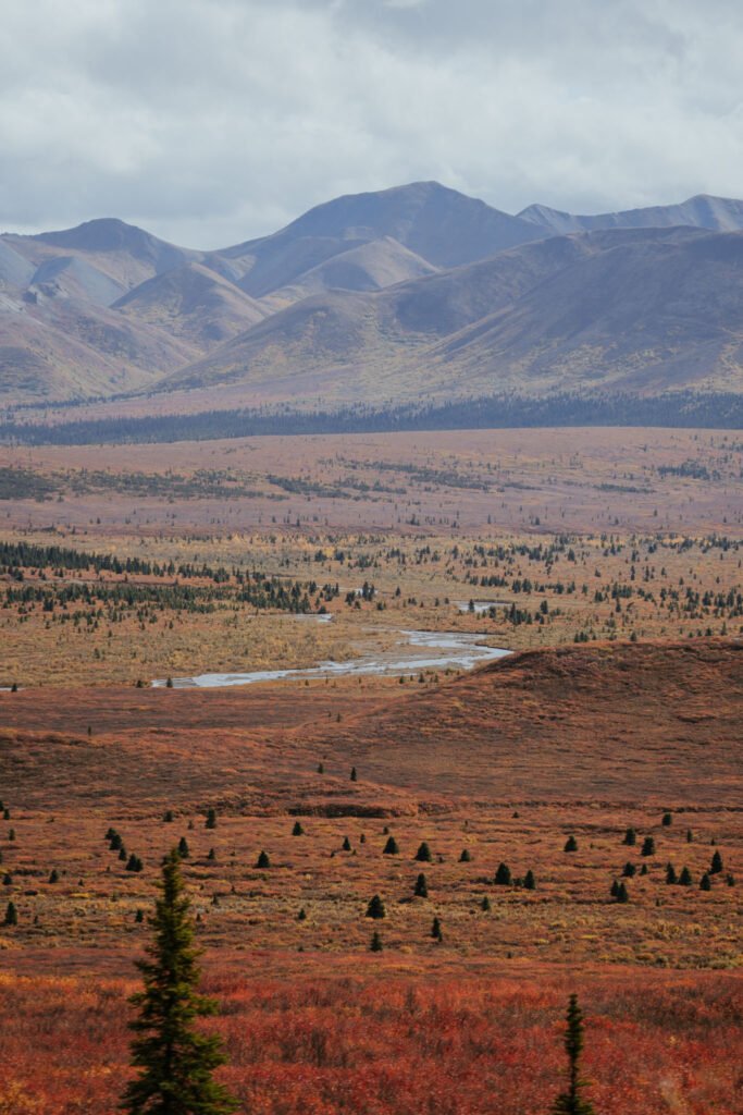Denali National Park 2 Week Alaska Itinerary