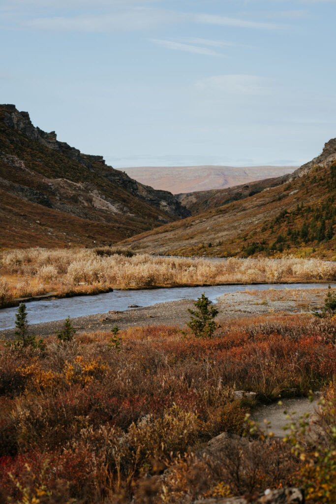Denali National Park 2 Week Alaska Itinerary