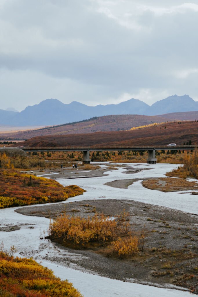 Denali National Park 2 Week Alaska Itinerary