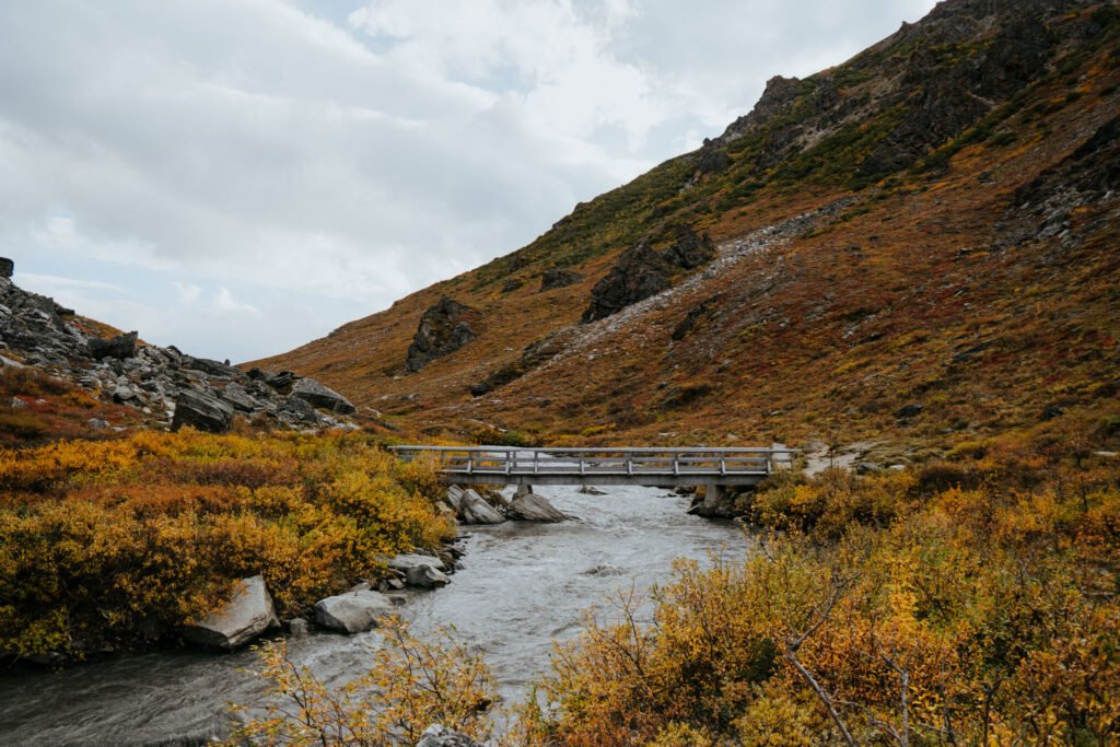 Denali National Park 2 Week Alaska Itinerary