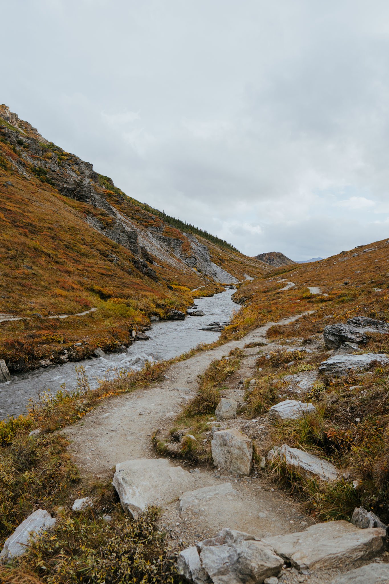 Denali National Park 2 Week Alaska Itinerary