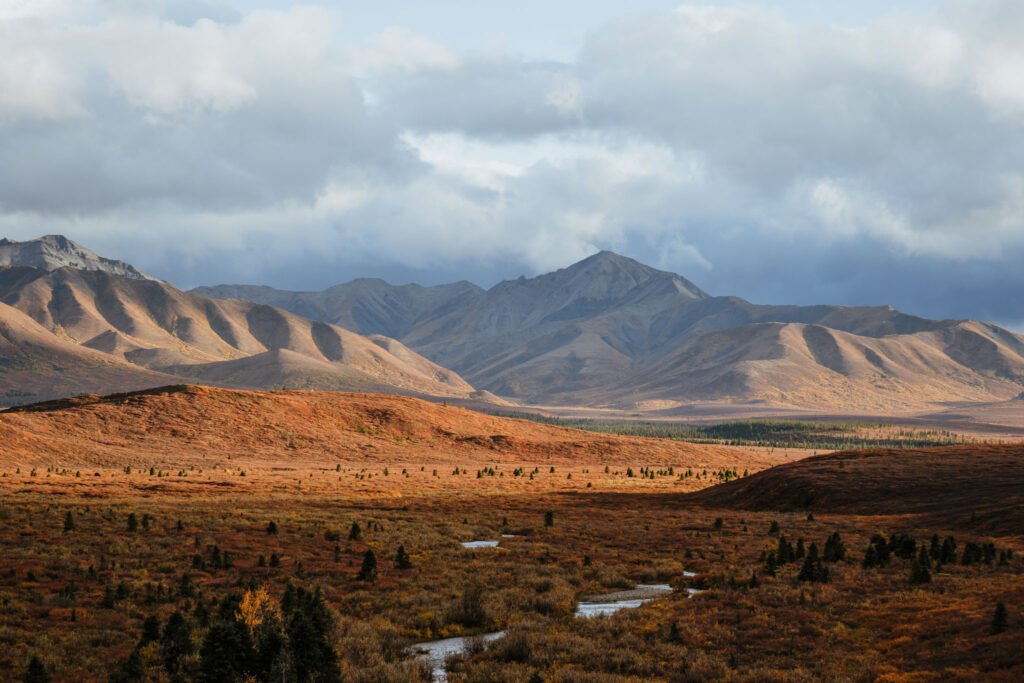 Denali National Park 2 Week Alaska Itinerary