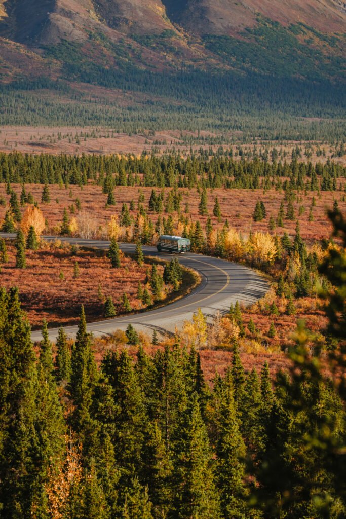 Denali National Park 2 Week Alaska Itinerary